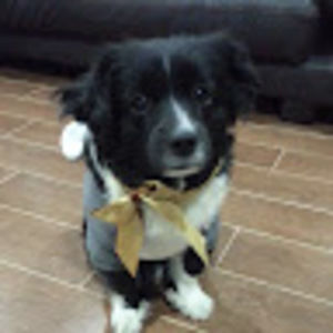 Meet your Posher, Julie